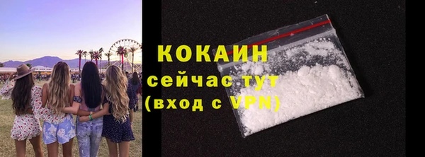 хмурый Осинники