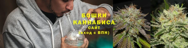 гидропоника Пересвет