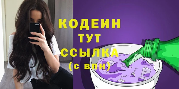 прущий лед Липки