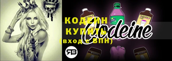ГАЛЛЮЦИНОГЕННЫЕ ГРИБЫ Осташков