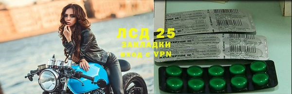 ГАЛЛЮЦИНОГЕННЫЕ ГРИБЫ Осташков