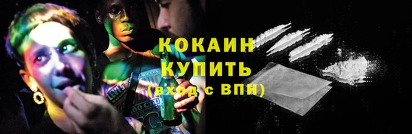 ГАЛЛЮЦИНОГЕННЫЕ ГРИБЫ Осташков