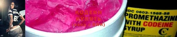 индика Нязепетровск