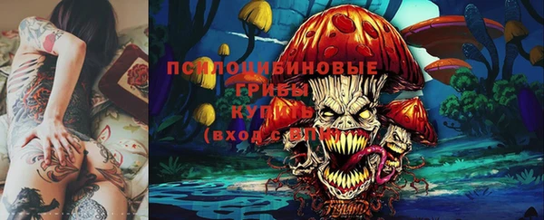 скорость Пестово
