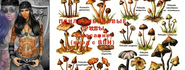 скорость Пестово