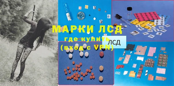 хмурый Осинники