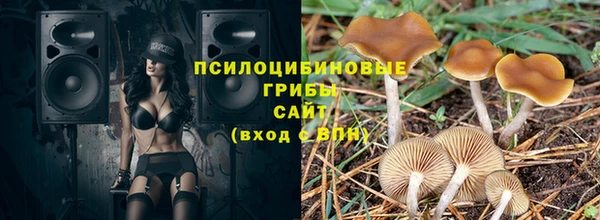 хмурый Осинники