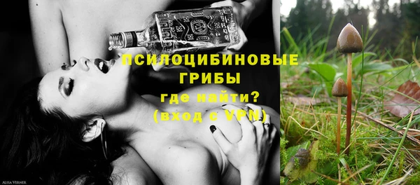 гидропоника Пересвет