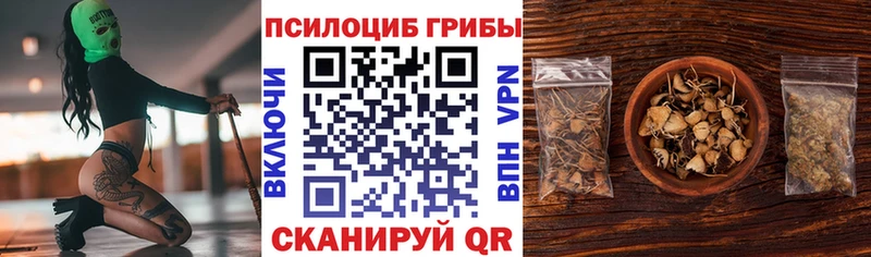 Псилоцибиновые грибы Psilocybe  блэк спрут ссылка  Кстово 