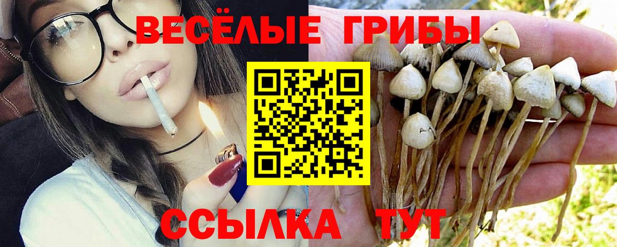 Псилоцибиновые грибы мухоморы  Галлюциногенные грибы мухоморы  Вход с VPN  Кстово 