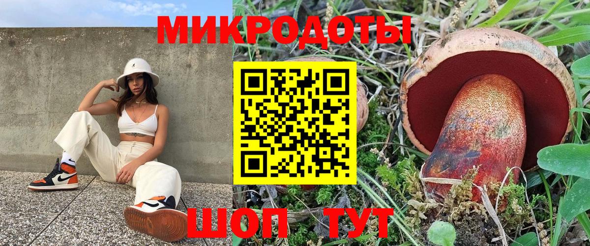 Псилоцибиновые грибы Cubensis  закладка  Кстово 